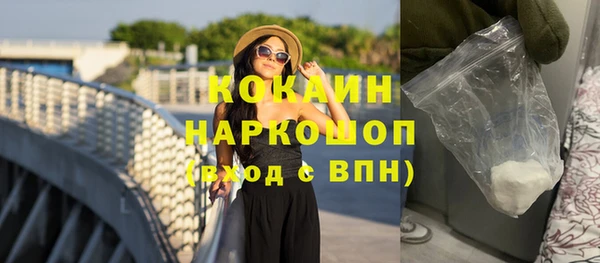 тгк Болотное