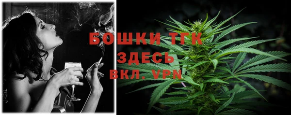 МДПВ Михайловск