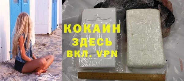 прущие грибы Валуйки