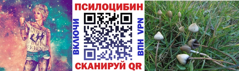 Псилоцибиновые грибы MAGIC MUSHROOMS  цена наркотик  Новотроицк 